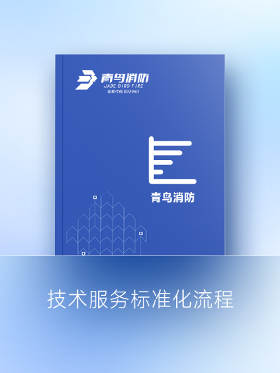 手艺效劳标准化流程