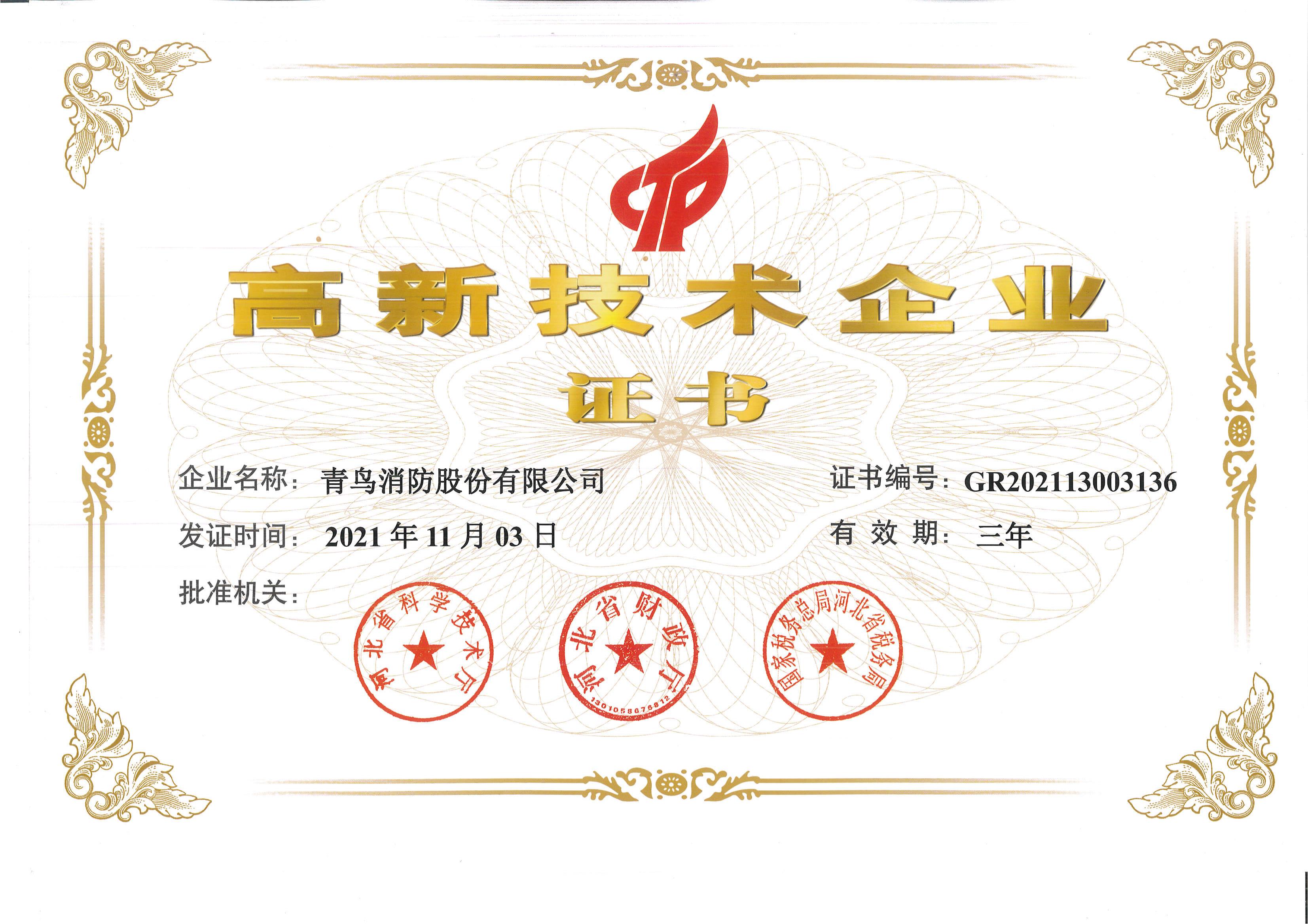 2021高新手艺企业