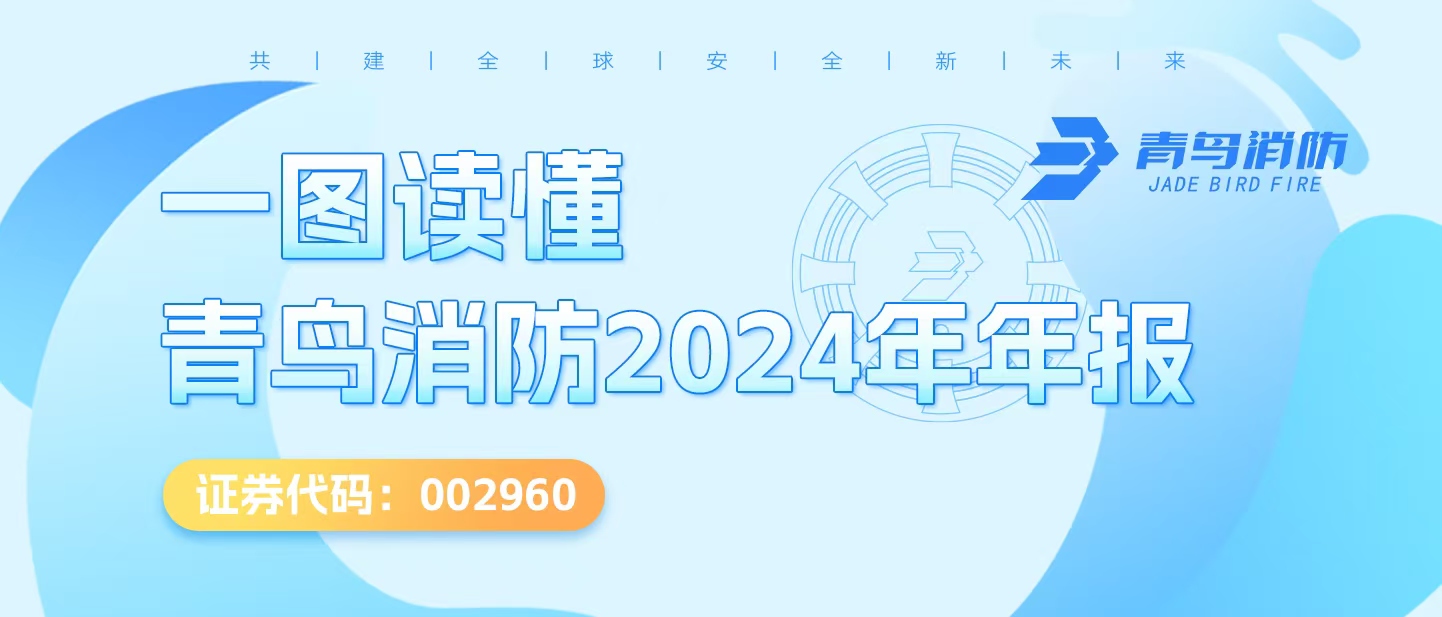 一图读懂w66国际2024年年报